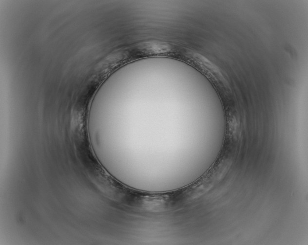 X0000113360373200909291035