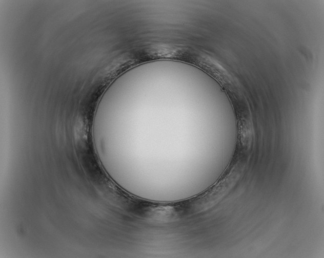 X0000113360374200909291035