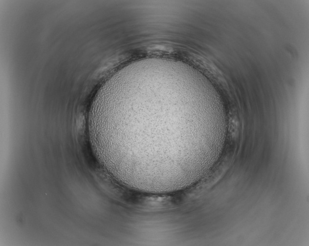 X0000113360375200909291035