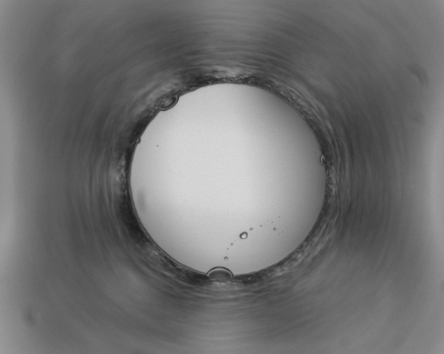 X0000113360376200909291035