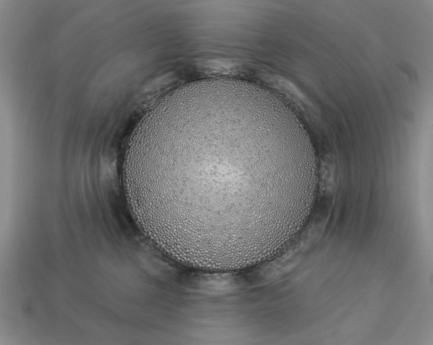 X0000113360377200909291035