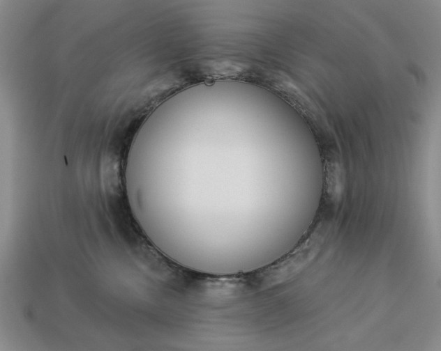 X0000113360378200909291035