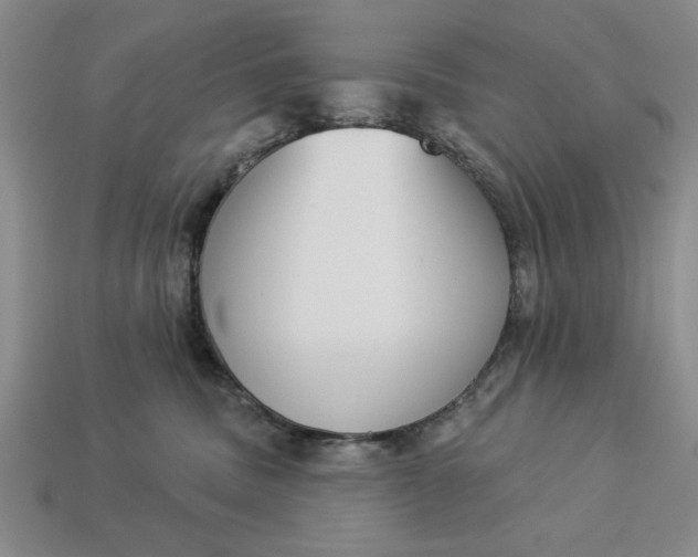 X0000113360379200909291035