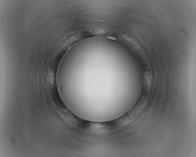 X0000113360380200909291035