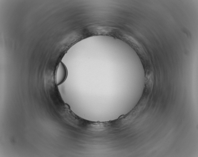 X0000113360381200909291035