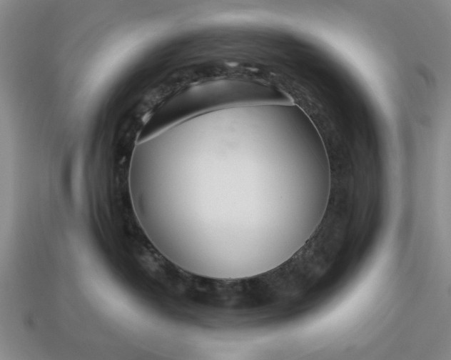 X0000113360382200909291035