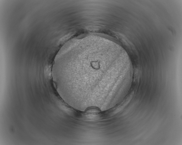 X0000113360383200909291035