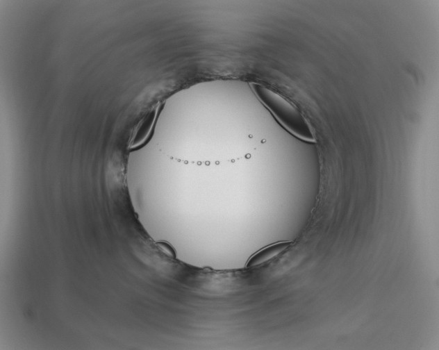 X0000113360384200909291035