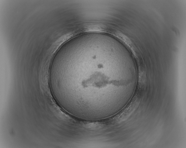 X0000113360385200909291034