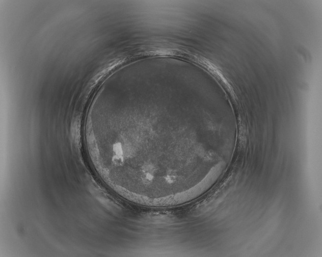 X0000113360386200909291034