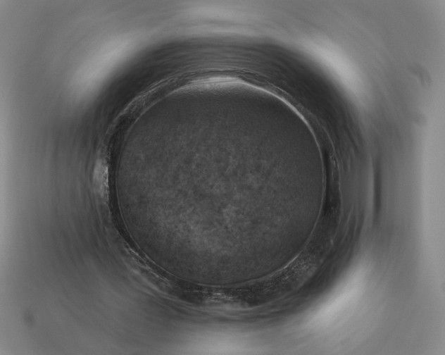 X0000113360387200909291034