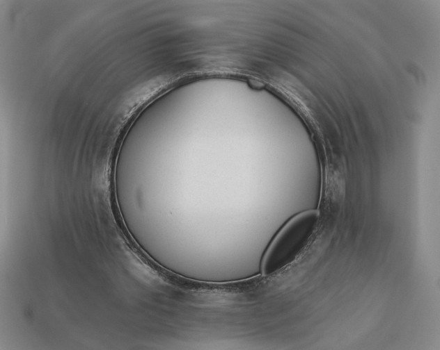 X0000113360389200909291034