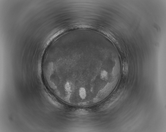 X0000113360390200909291034