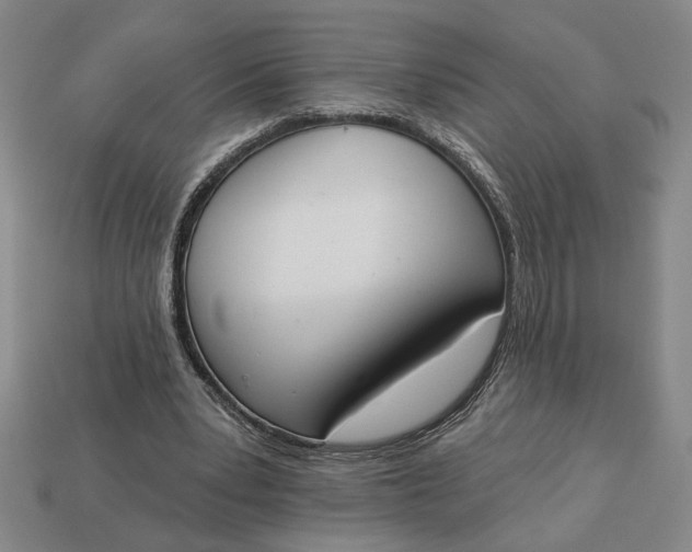 X0000113360391200909291034