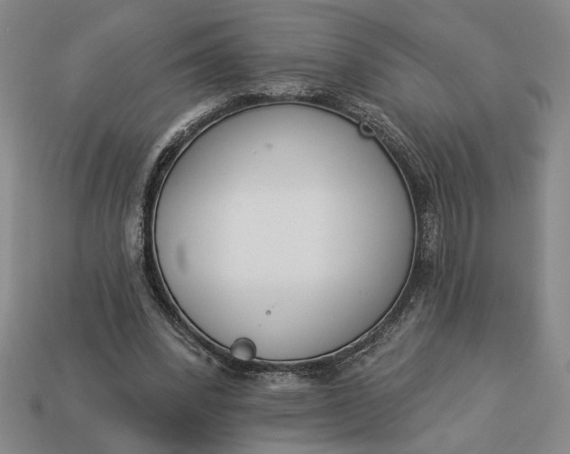 X0000113360392200909291034