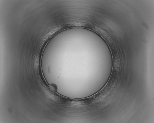 X0000113360394200909291034