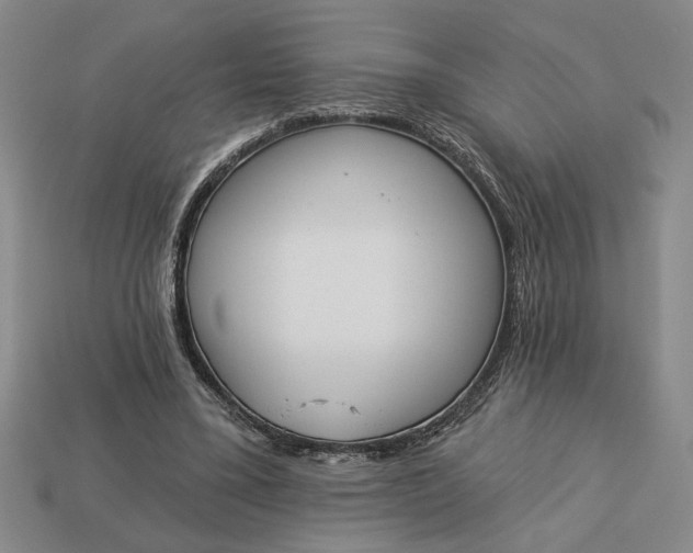 X0000113360395200909291034