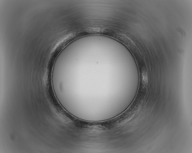 X0000113360396200909291034