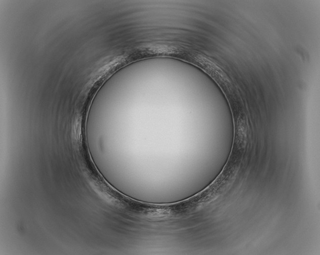 X0000113360398200909291034