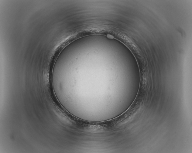 X0000113360399200909291034