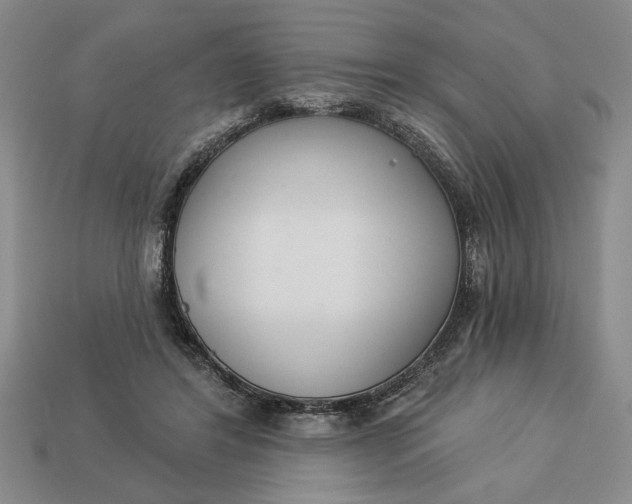 X0000113360404200909291034