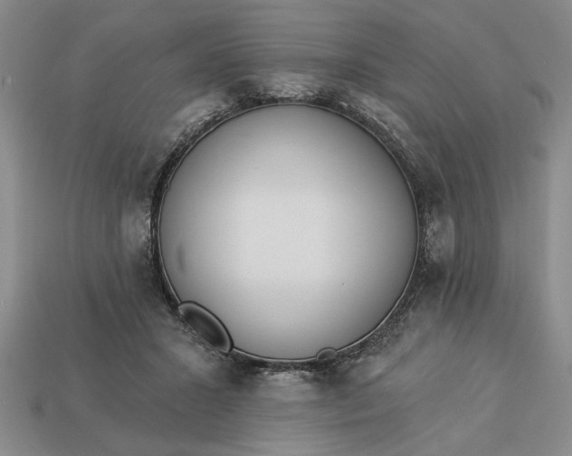 X0000113360407200909291034