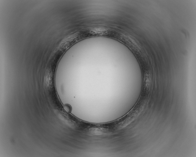 X0000113360408200909291034