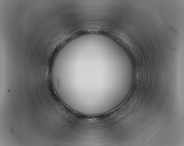 X0000113360411200909291034