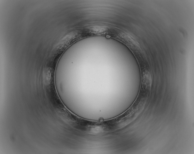 X0000113360412200909291034