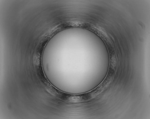 X0000113360413200909291034