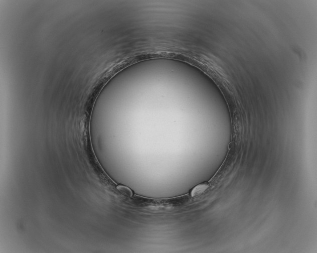 X0000113360415200909291034