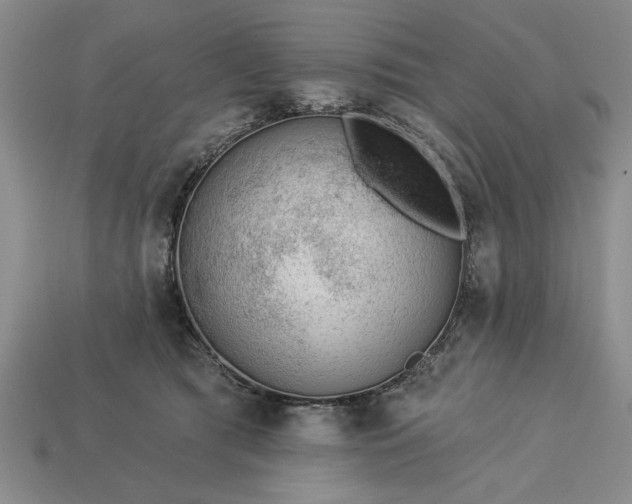 X0000113360417200909291034