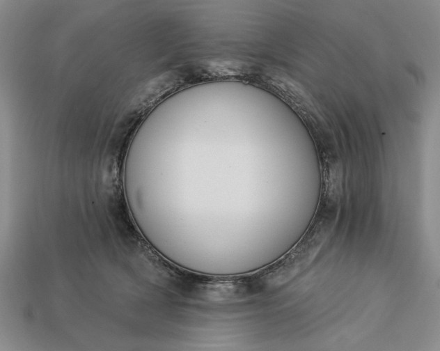 X0000113360418200909291034