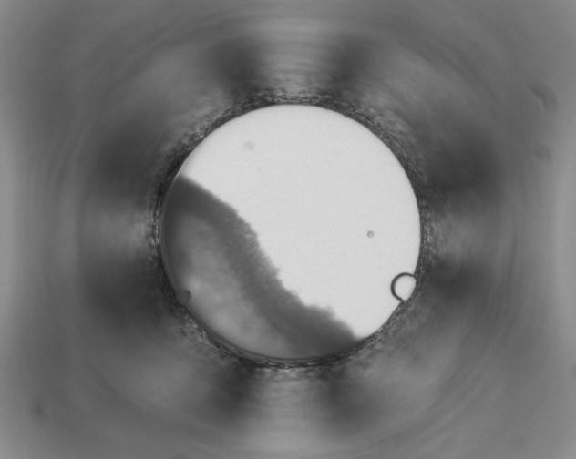 X0000113360419200909291034