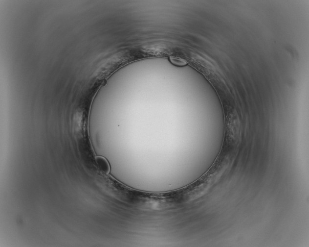 X0000113360420200909291034