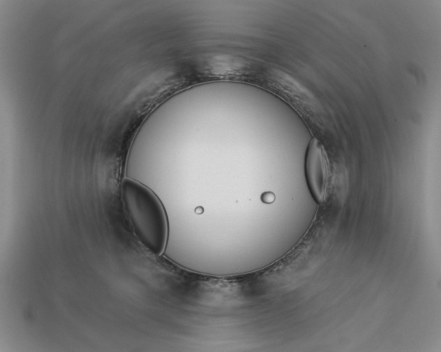 X0000113360421200909291034