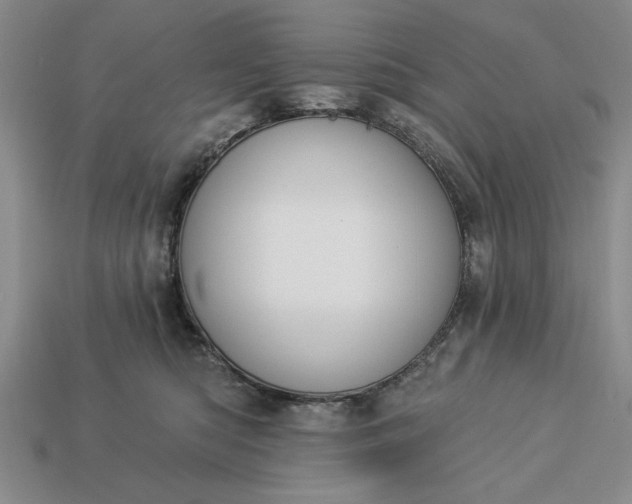 X0000113360422200909291034