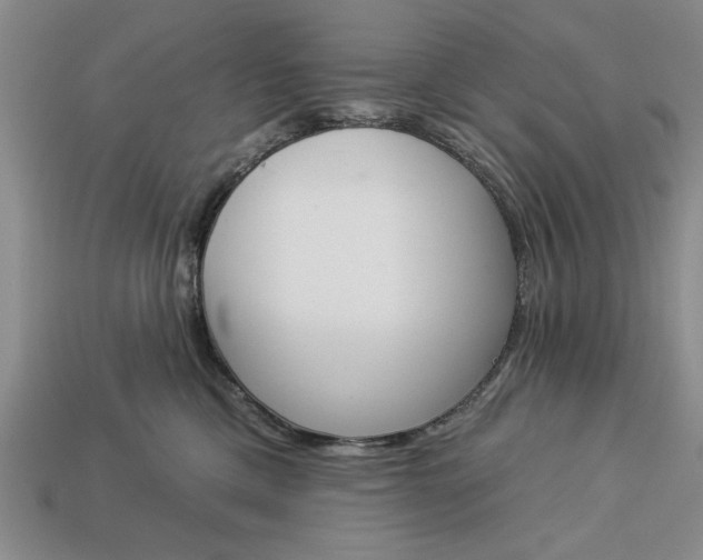 X0000113360425200909291034