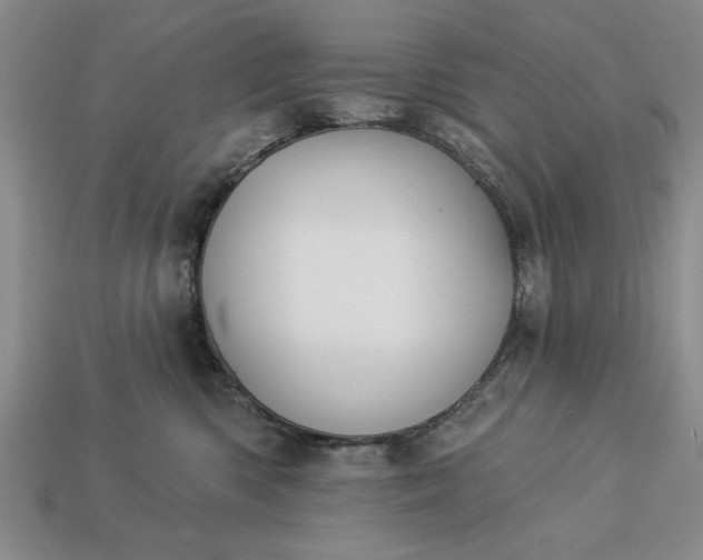 X0000113360426200909291034