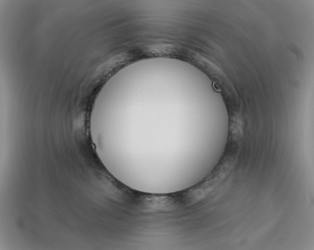 X0000113360428200909291034