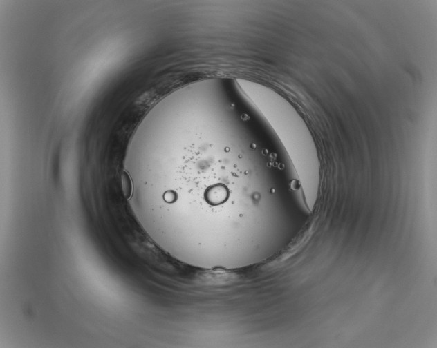 X0000113360429200909291034