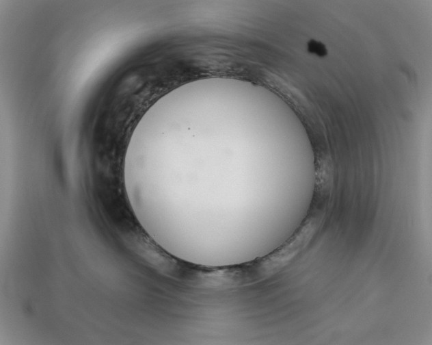 X0000113360430200909291034