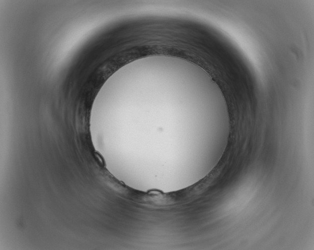 X0000113360431200909291034