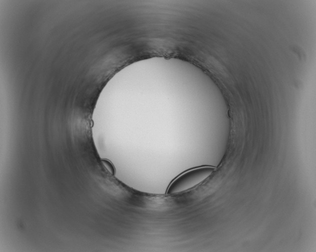 X0000113360432200909291034