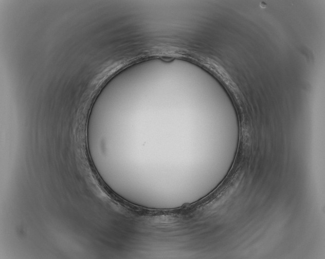 X0000113360433200909291033