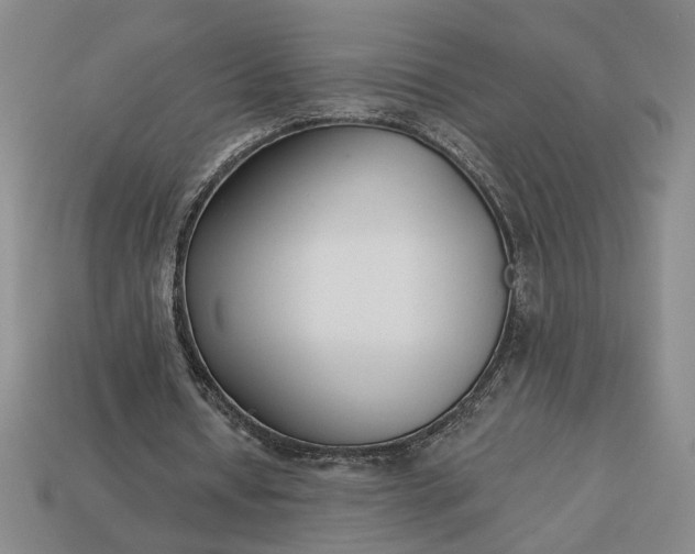 X0000113360434200909291033