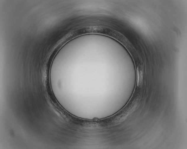 X0000113360435200909291033