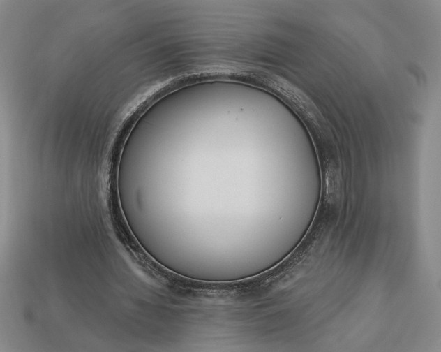 X0000113360436200909291033