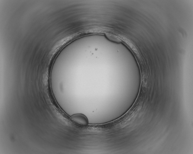 X0000113360437200909291033