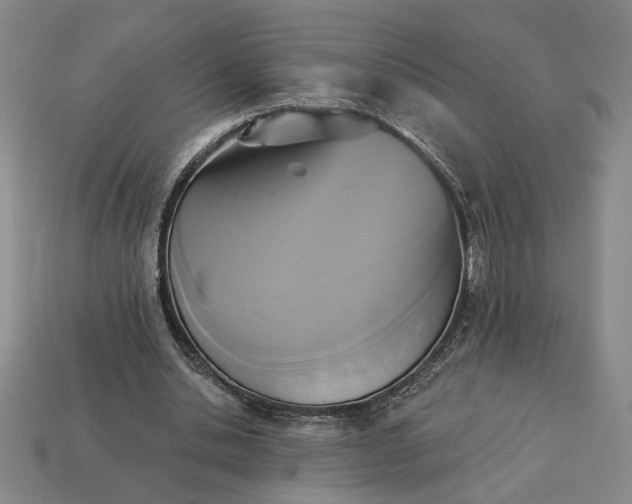 X0000113360438200909291033